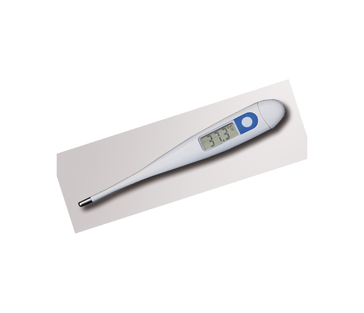 Digital electronic thermometer