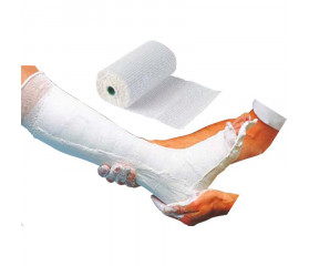 PHARMADANICA plaster bandage 10Cm x 2M