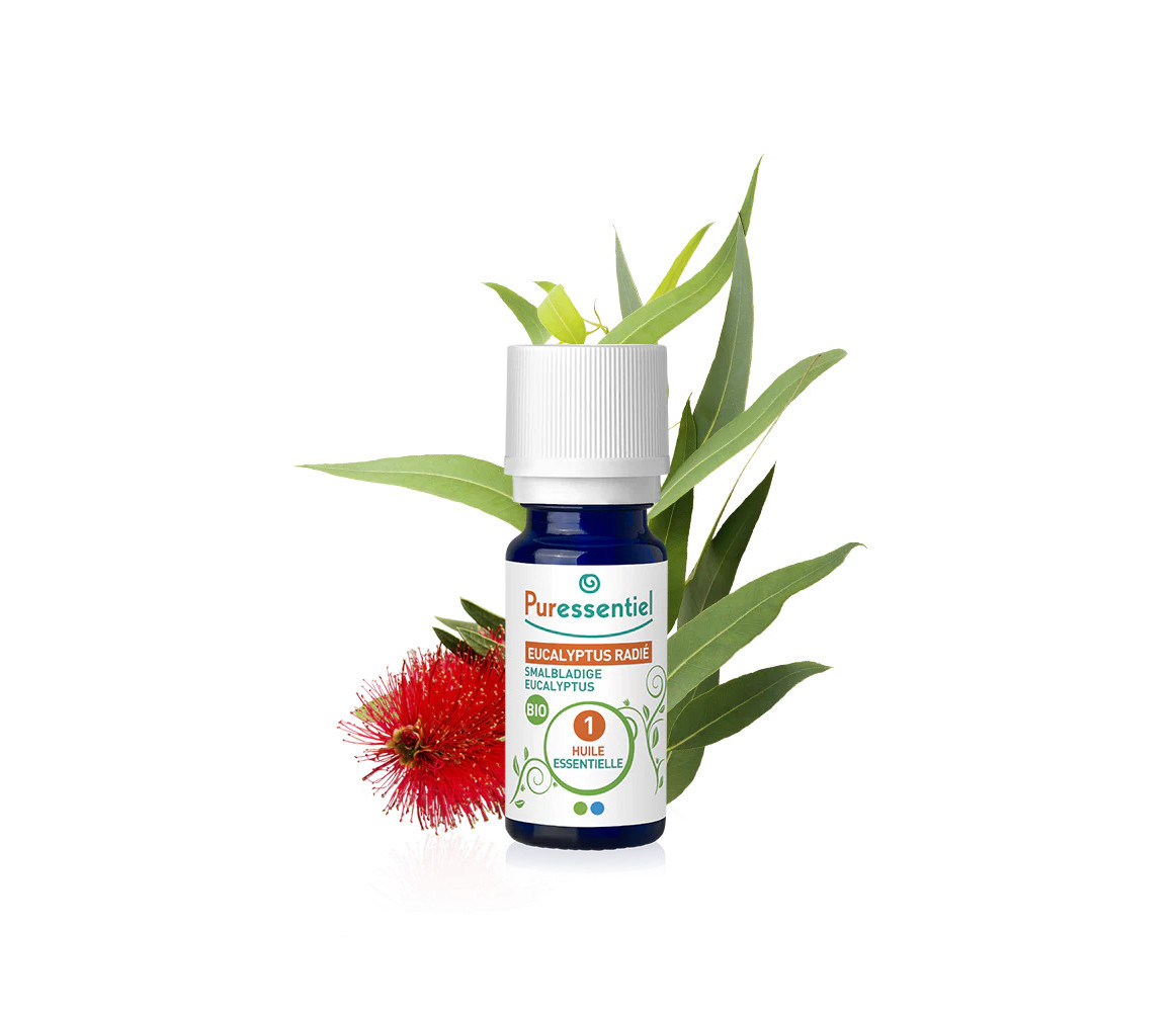 PURESSENTIEL Eucalyptus Radiant Essential Oil Organic 10ml