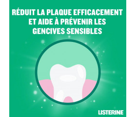 JOHNSON & JOHNSON Bain de Bouche LISTERINE Protection Dents Et Gencives 500ml