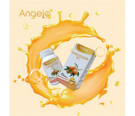 ANGELO HZS  Huile  D'argousier  60 Capsules