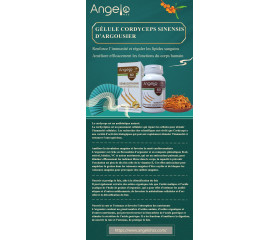 ANGELO HZS  Cordyceps Sinensis à L'argousier  60 Capsules