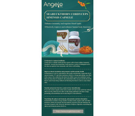 ANGELO HZS  Cordyceps Sinensis à L'argousier  60 Capsules