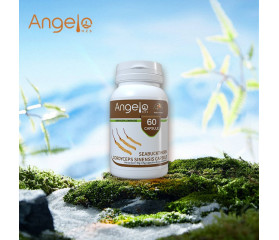 ANGELO HZS Cordyceps Sinensis with Sea Buckthorn 60 Caps