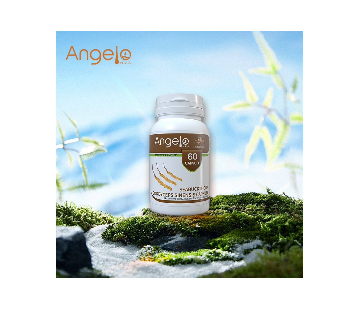 ANGELO HZS  Cordyceps Sinensis à L'argousier  60 Capsules