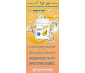 ANGELO HZS Sea Buckthorn Protein Powder Solid Drink 420g