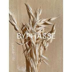 BYPHASE WHITENING EFFECT CLEANSING MILK with oat extract 500ml